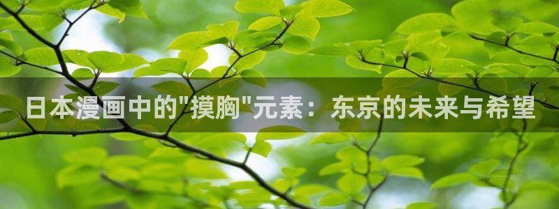 51动漫破解版下载安装最新版本更新内容
