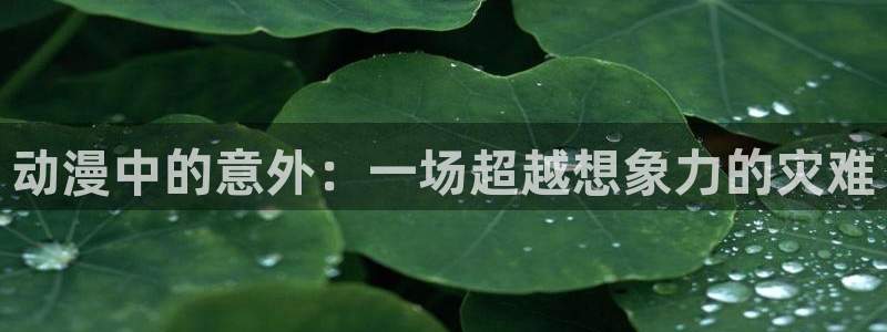 51动漫在线观看免费