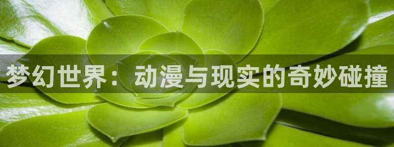 51动漫免费入口：梦幻世界：动漫与现实的奇妙碰撞